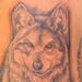 tattoo galleries/ - black and grey wolf